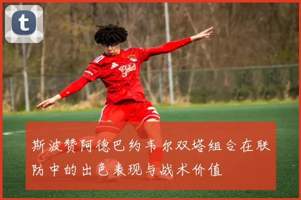 斯波赞阿德巴约韦尔双塔组合在联防中的出色表现与战术价值