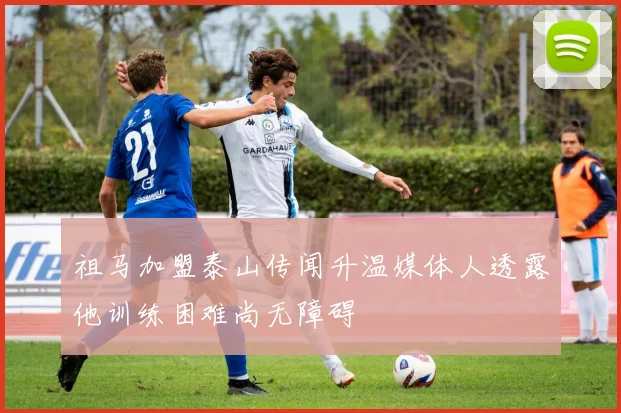 祖马加盟泰山传闻升温媒体人透露他训练困难尚无障碍