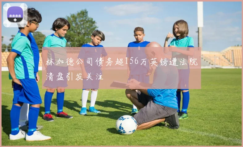 林加德公司债务超156万英镑遭法院清盘引发关注