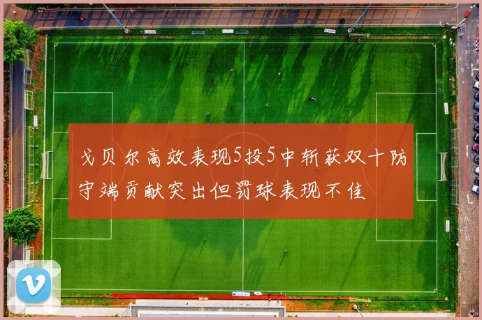 戈贝尔高效表现5投5中斩获双十防守端贡献突出但罚球表现不佳